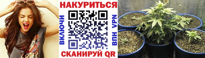 Бошки Шишки конопля  Купить где  Миасс